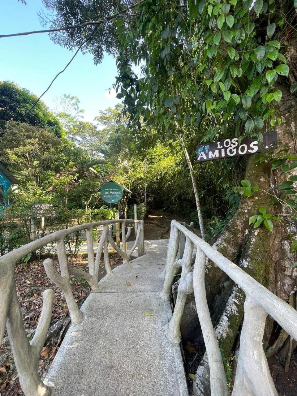 Los Amigos Jungle Hotel Tortuguero Exterior foto